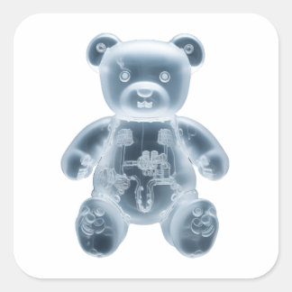 Teddy Bear : RBT Square Sticker