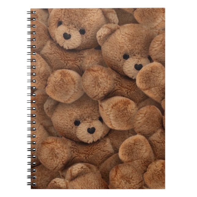 Teddy bear spiral notebook (Front)