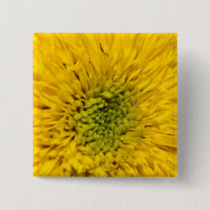 Teddy Bear Sunflower 15 Cm Square Badge