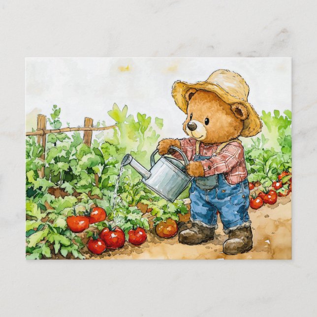 Teddy Bear Watering Tomato Plants Postcard (Front)