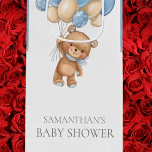 Teddy Bearly Wait BABY SHOWER Boy Wine Gift Bag