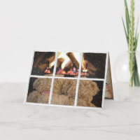 teddy bears by fireplace birthday