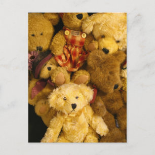 Teddy Bears Post Cards