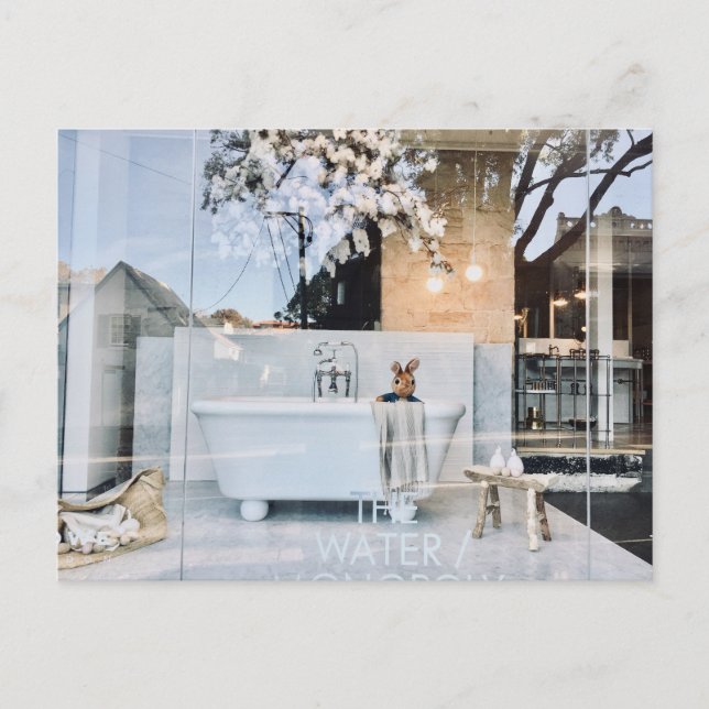 Teddy in Bath Postcard (Front)