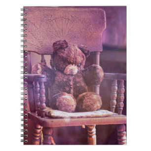 Teddy Notebook