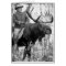 Teddy Roosevelt Riding A Bull Moose