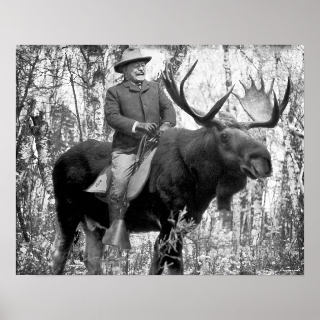 Teddy Roosevelt Riding A Bull Moose Poster (Front)