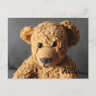 Teddy says hello postcard