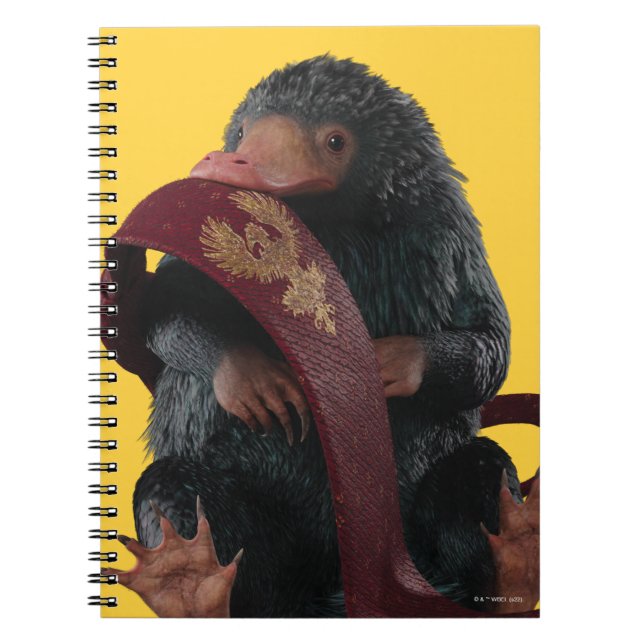 Teddy With Tie Graphic Notebook (Front)