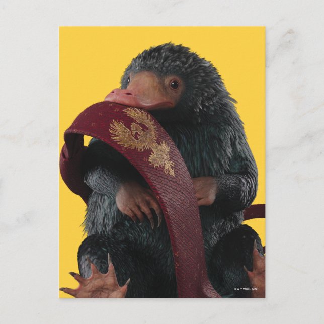 Teddy With Tie Graphic Postcard (Front)