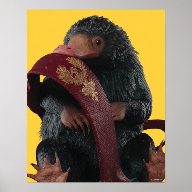 Teddy With Tie Graphic Poster (Front)