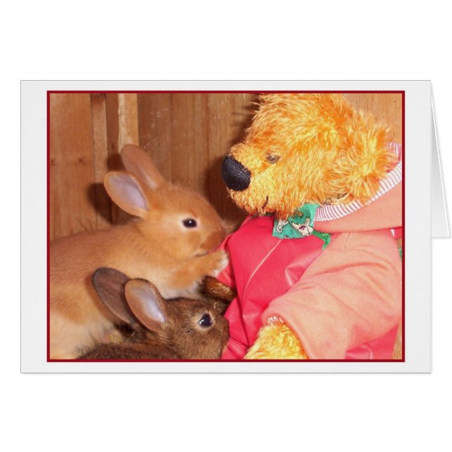 teddybears love little baby rabbits (Front Horizontal)