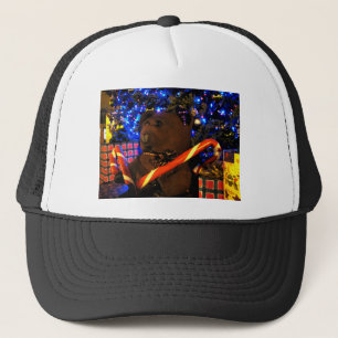Teddys Christmas I Trucker Hat