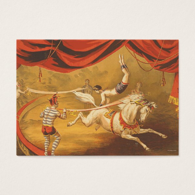 TEE Circus Act (Front)