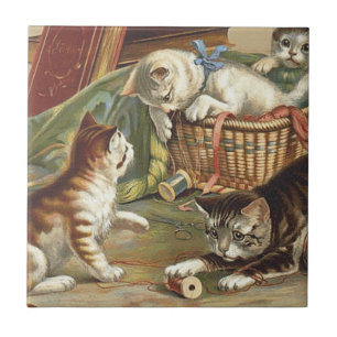 TEE Curious Cat Ceramic Tile