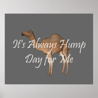TEE Hump Day Poster