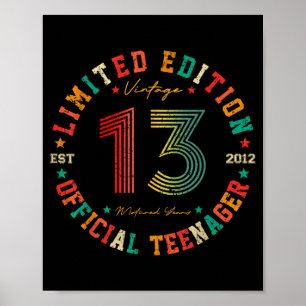 Teenager 13 Year Old Vintage 13th Birthday Poster