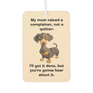 Teenager Gift Car Air Freshener