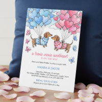 Teenie Weenie Sweetheart Dachshund Gender Reveal
