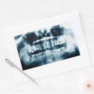 Teeth X-ray Rectangular Sticker