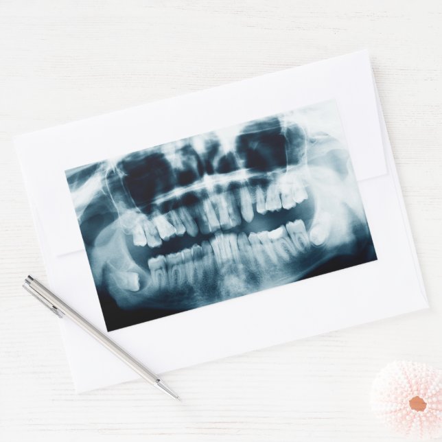 Teeth X-ray Rectangular Sticker (Envelope)