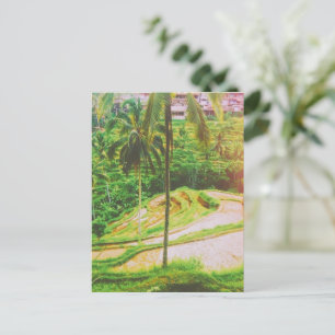 Tegalalang Rice Terrace - Bali - Indonesia  Postcard