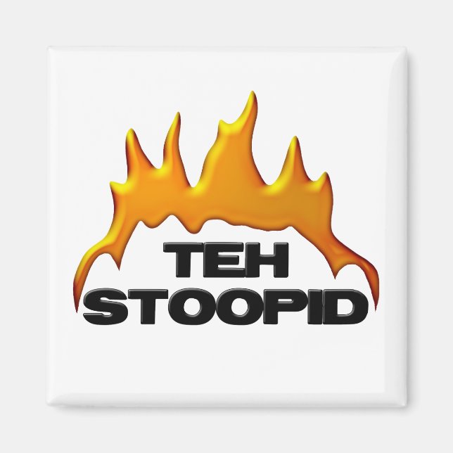 Teh Stoopid Burns Magnet (Front)