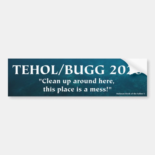 Tehol/Bugg 2020 - Clean up around here! Bumper Sticker (Front)