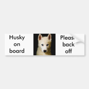 Tehya - Siberian Husky Bumper Sticker