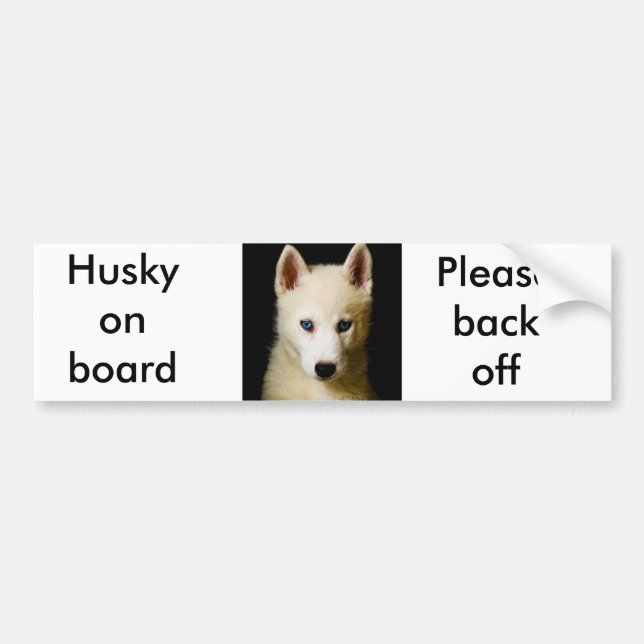 Tehya - Siberian Husky Bumper Sticker (Front)