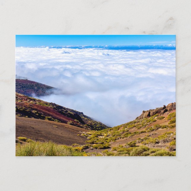 Teide National Park Postcard (Front)
