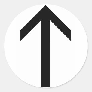 TEIWAZ RUNE CLASSIC ROUND STICKER