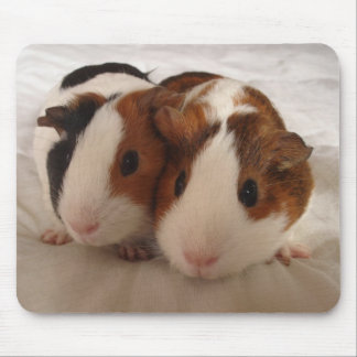 Telmha & louise mouse pad