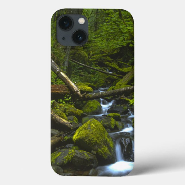 Temperate Rainforest Stream in Columbia River Case-Mate iPhone Case (Back)