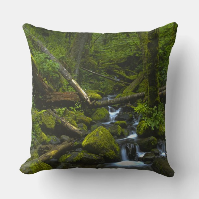 Temperate Rainforest Stream in Columbia River Cushion (Front)
