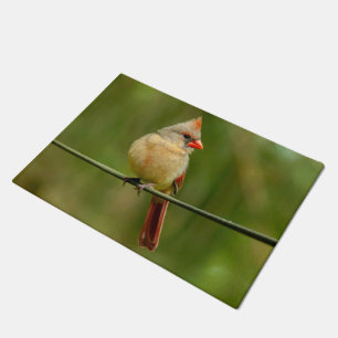 template door mat