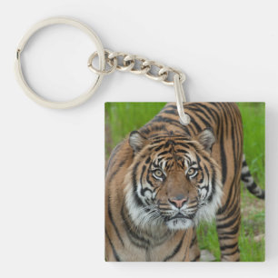 template key ring