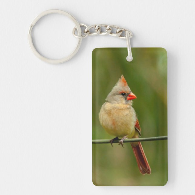 template keychain acrylic (Front)