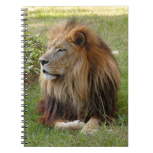 Template-Notebook (8x10) Notebook