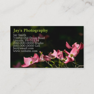 Template Photography Business Cards