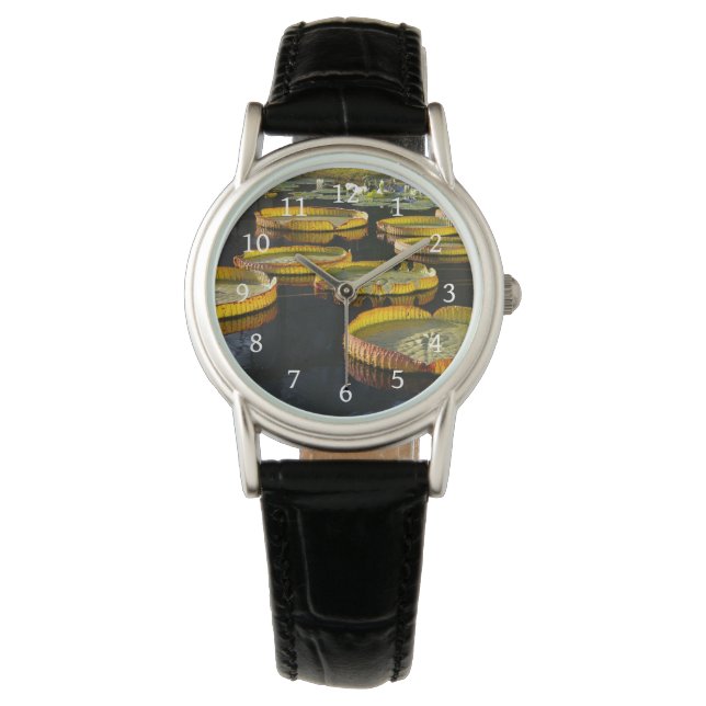 template watch (Front)