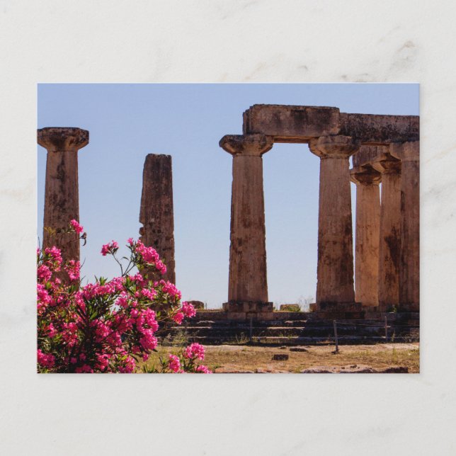 Temple of Apollo, Corinth, Greece Postcard (Front)