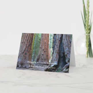 Temple of the Groves - Sacred Sequoia Trees, Quote Card