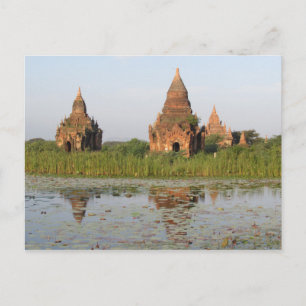 Temple Reflection, Bagan, Myanmar Postcard