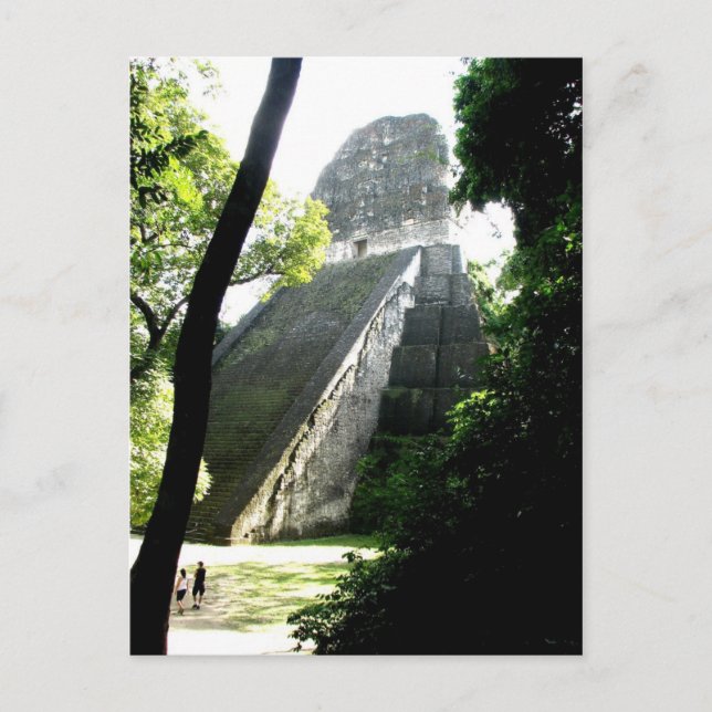 Temple V, Tikal, Guatemala Postcard (Front)