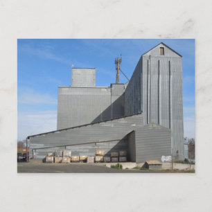 Templeton Feed and Grain Building Postcard
