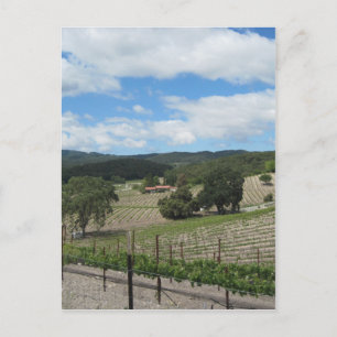 Templeton Wine Country at the End of May Postcard