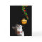 Tempted kitty cat Christmas