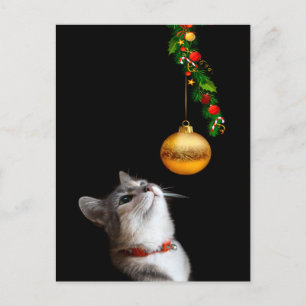 Tempted kitty cat Christmas Holiday Postcard