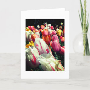 Tempting Tulips Note Card
